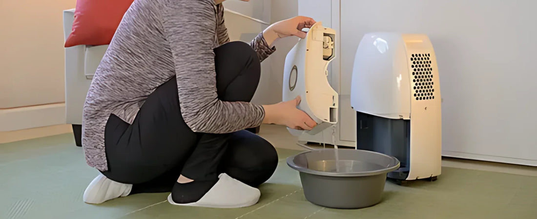 Can You Drink Water From A Dehumidifier