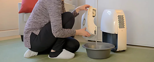 Can You Drink Water From A Dehumidifier