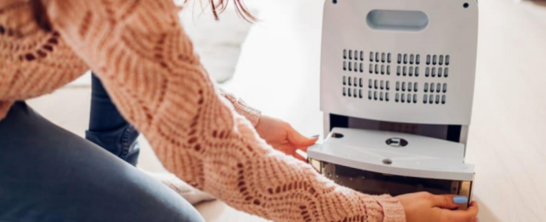 best dehumidifiers 