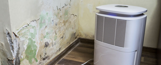 dehumidifier with pump