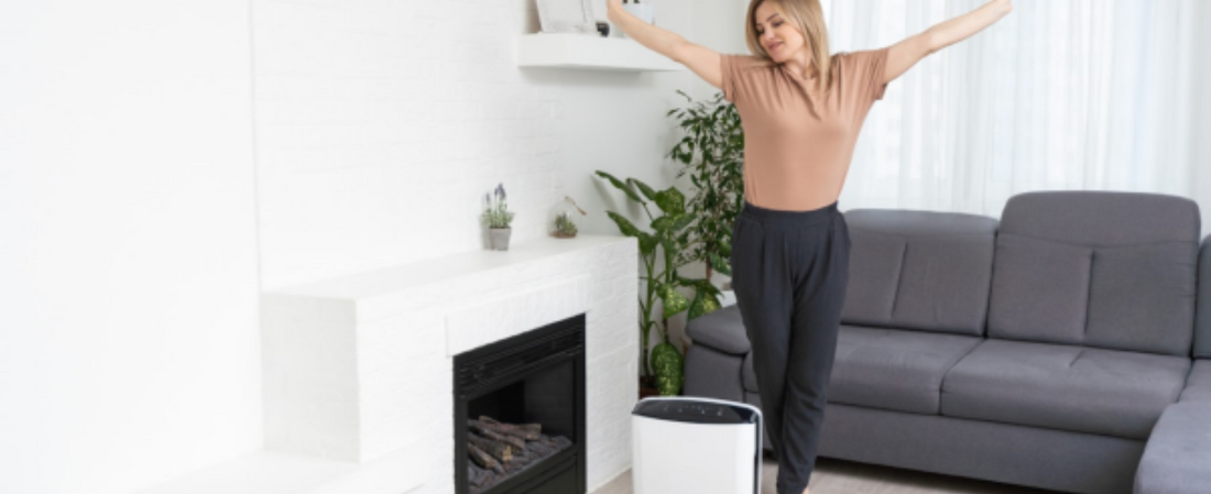 dehumidifier for garage