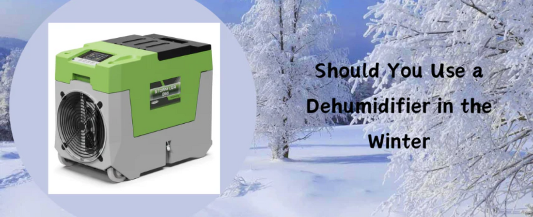 Should You Use a Dehumidifier in the Winter