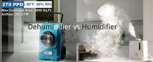 Humidifier vs Dehumidifier:Do I Need A Humidifier Or Dehumidifier