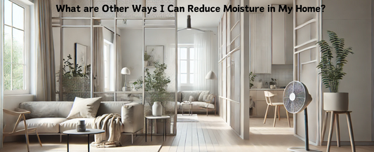 What are Other Ways I Can Reduce Moisture in My Home?