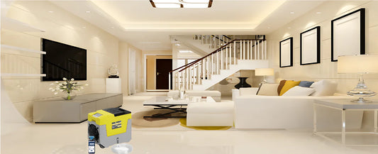 What is the Best Dehumidifier for a Basement