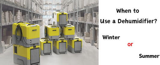 When to Use a Dehumidifier: Winter or Summer?