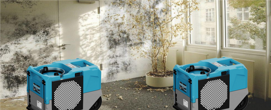 Does a Dehumidifier Help with Mold?